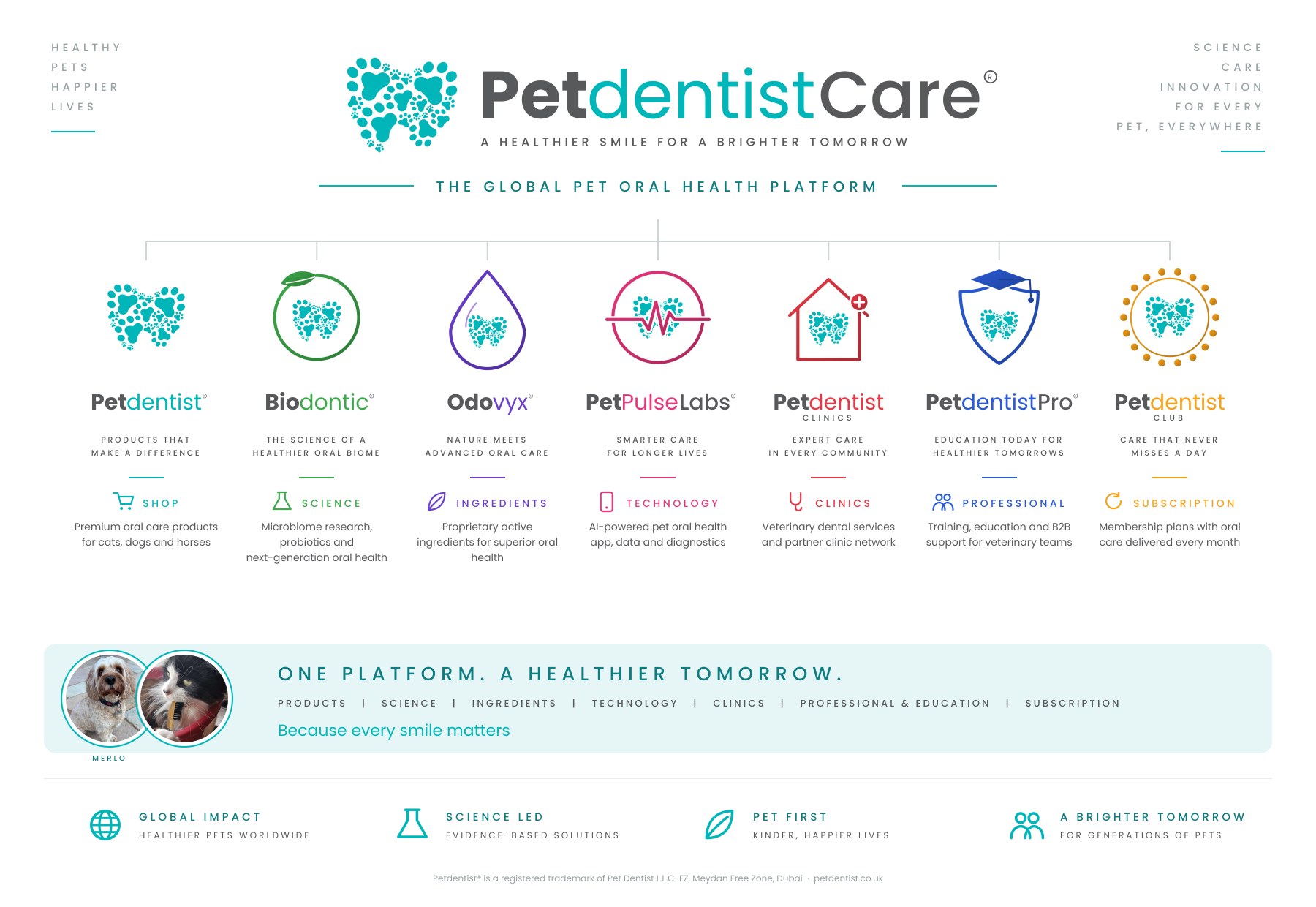 The PetdentistCare platform board showing nine divisions under one master brand
